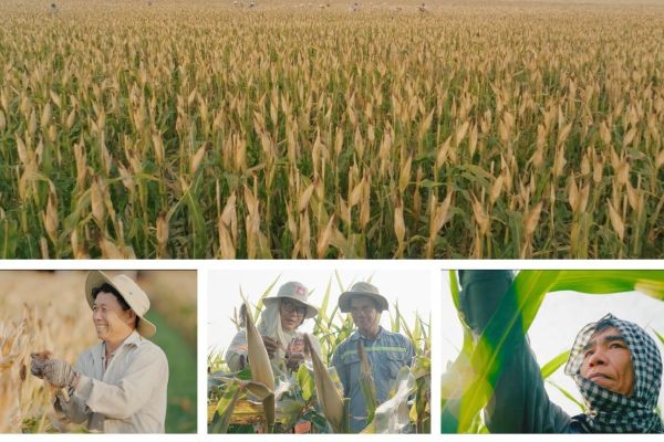 Khung hình đẹp phim giới thiệu CP SEED Tây Ninh